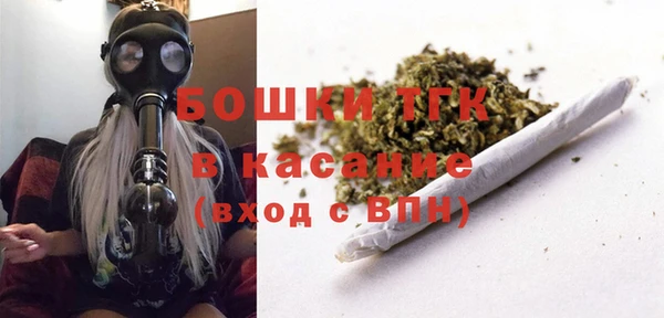 PSILOCYBIN Елабуга