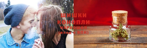 PSILOCYBIN Елабуга