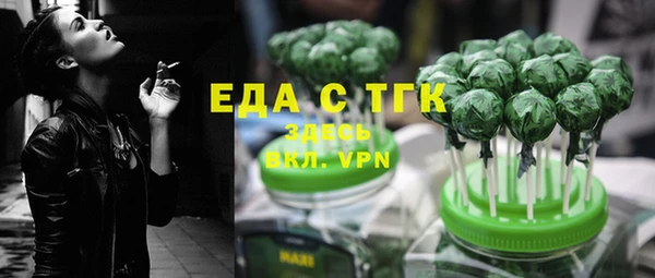 мдпв Ельня