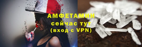 мдпв Ельня