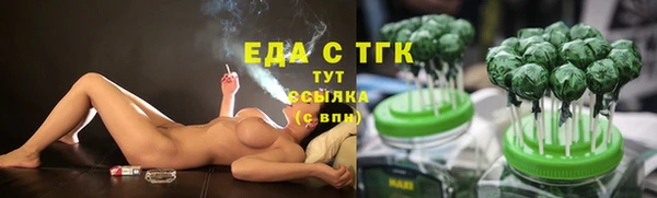 мдпв Ельня