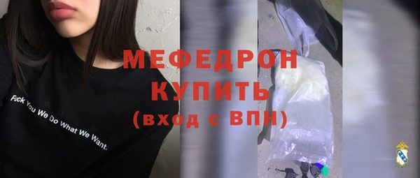 мдпв Ельня