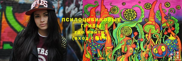 соль ск Медногорск