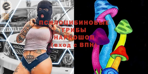 дживик Мегион