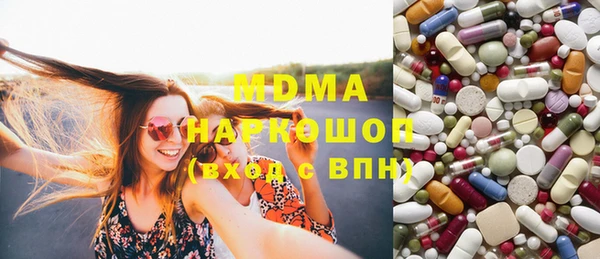 мдпв Ельня