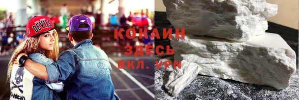 дживик Мегион