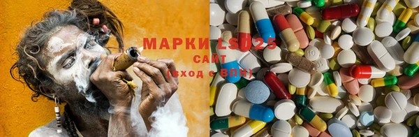 PSILOCYBIN Елабуга