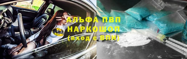 дживик Мегион