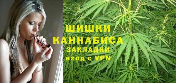 мдпв Ельня