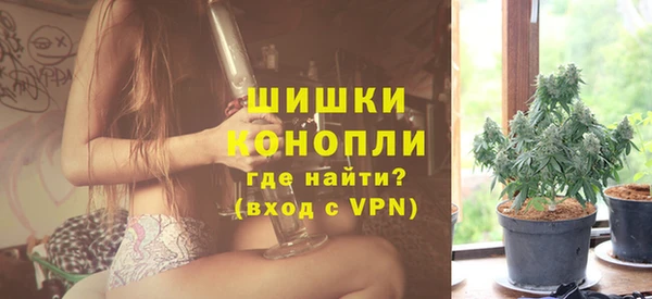 мдпв Ельня