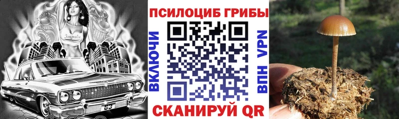 Псилоцибиновые грибы мухоморы Ефремов